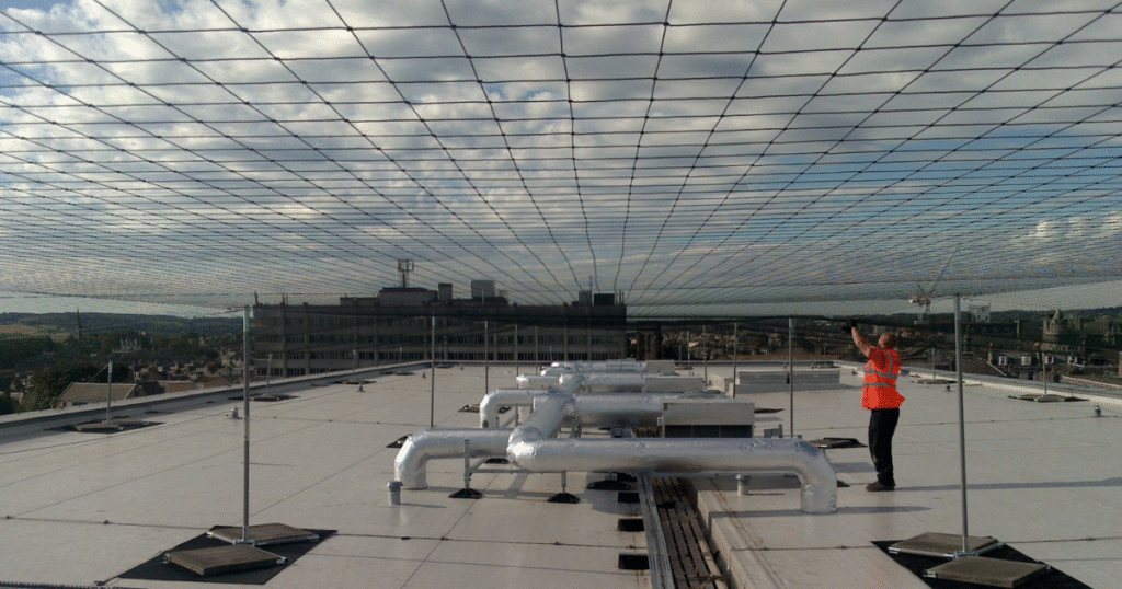 Professional bird control netting installation team working on Los Angeles commercial rooftop